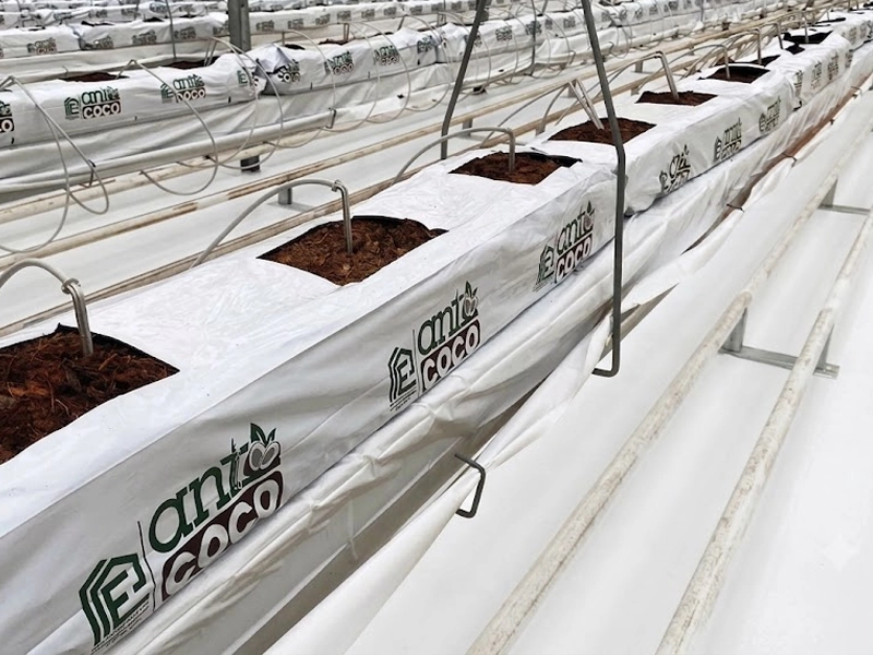 Cocopeat